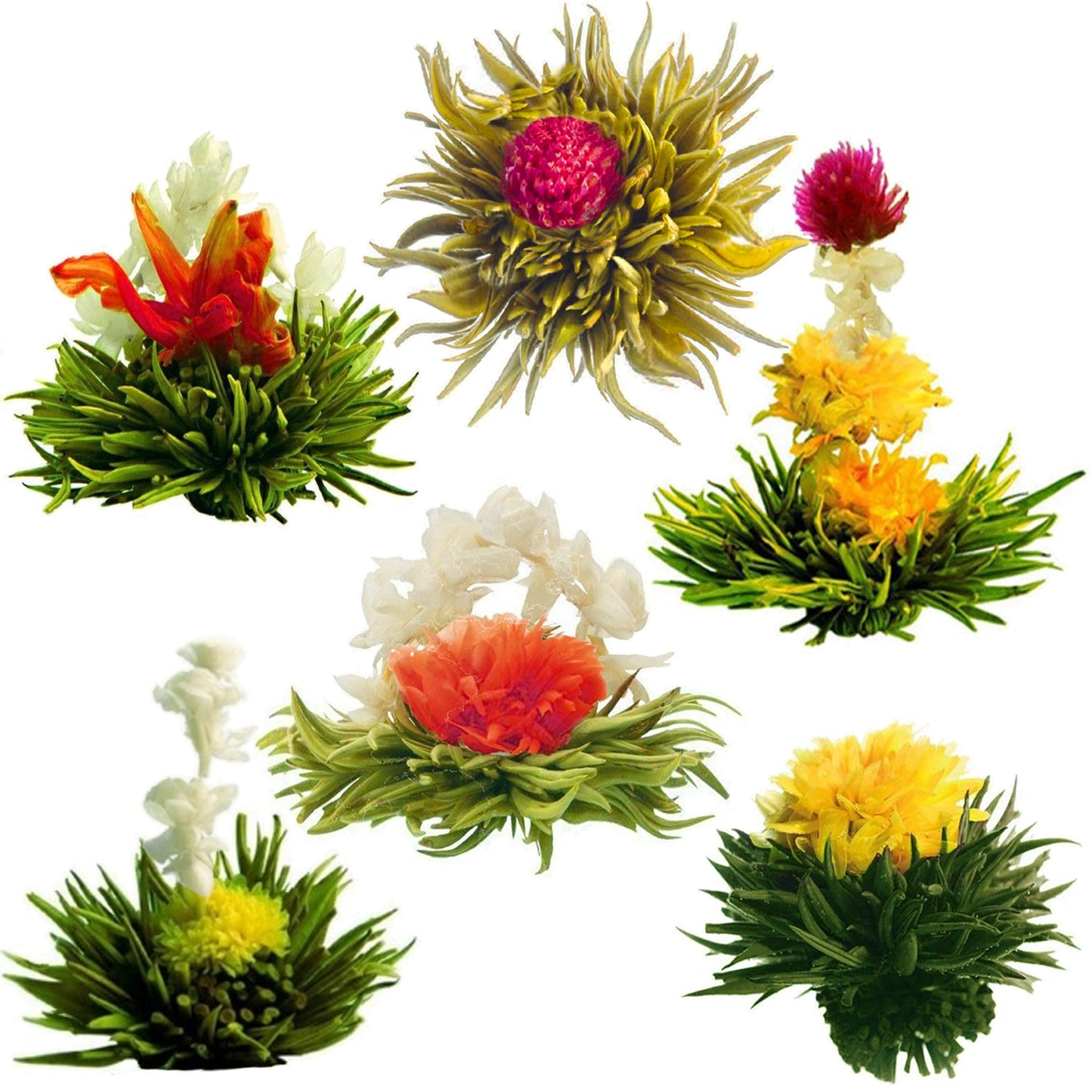 Écrin 6 Florithés